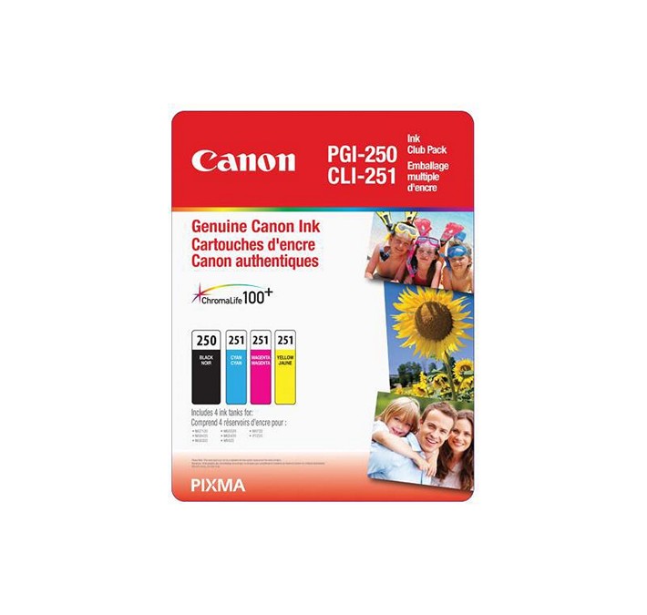 Cartouche d'encre noir et couleur Canon PGI-250 et CLI-251 pour imprimante Canon PIXMA iP7220